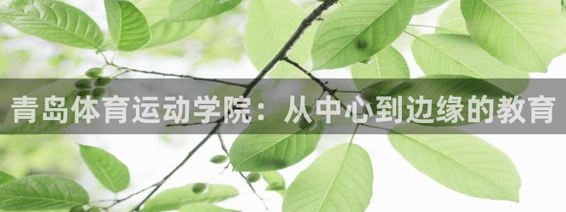 一竞技官方正版app集团官网网址:青岛体育运动学院:从中心到
