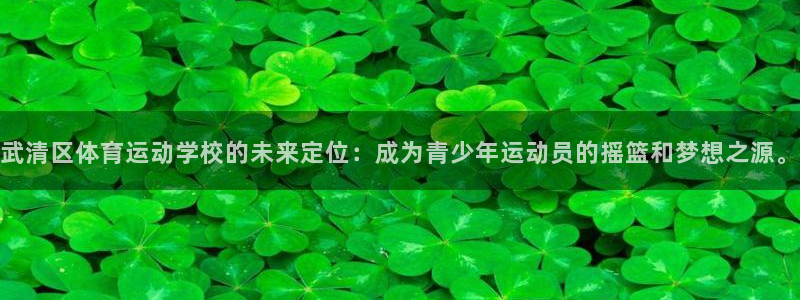 一竞技官方正版app娱乐是那个系列的台子:武清区体育运动学校