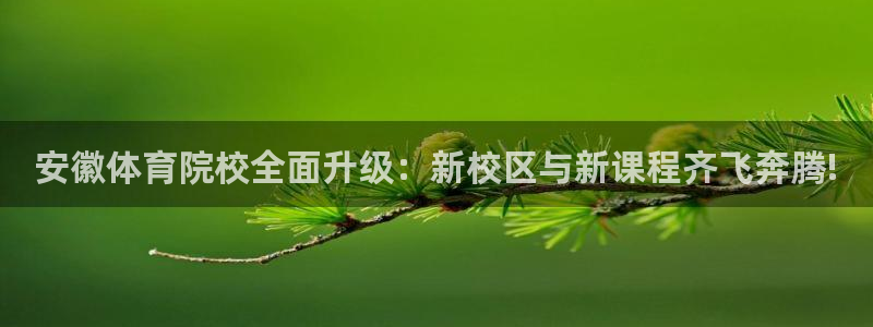 一竞技官方正版app科技:安徽体育院校全面升级:新校区与新课