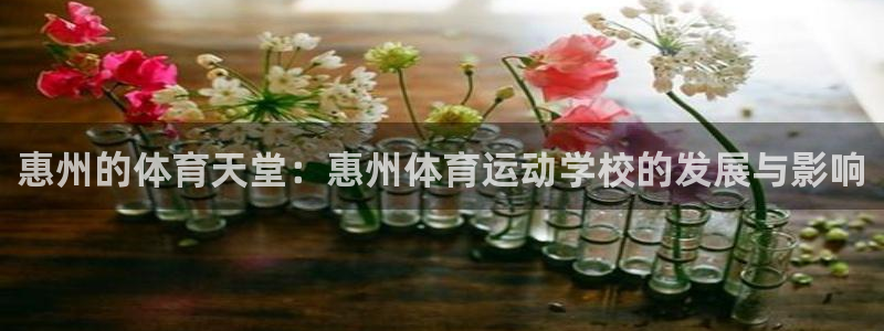 注册一竞技官方正版app:惠州的体育天堂:惠州体育运动学校的